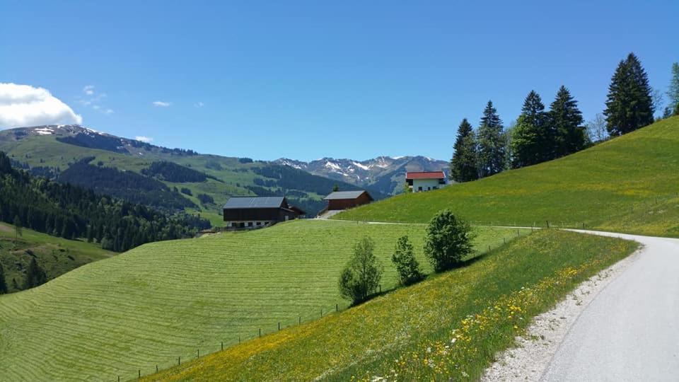 Haus Am Sonnberg Villa Maria Alm am Steinernen Meer Eksteriør billede